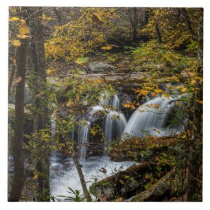 Dunloup Creek Falls West Virginia Tile
