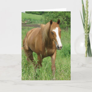 Dunnit Card