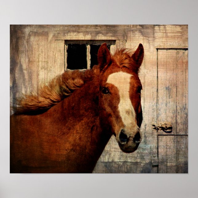 Dunnit Poster (Front)