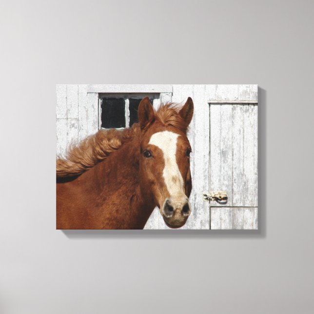Dunnit Says Hello Canvas Print (Front)