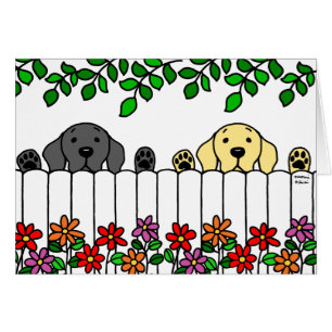 Duo du Labrador qui vous regarde