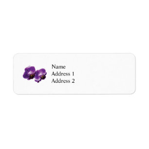 Duo pourpre d'orchidée