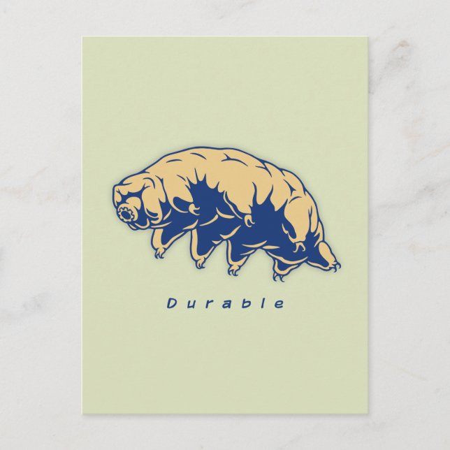 Durable - Tardigrade Postcard (Front)