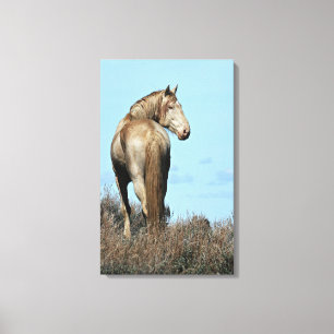 Durango Canvas Print