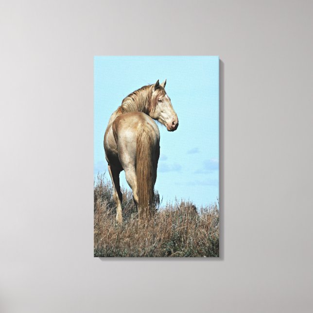 Durango Canvas Print (Front)