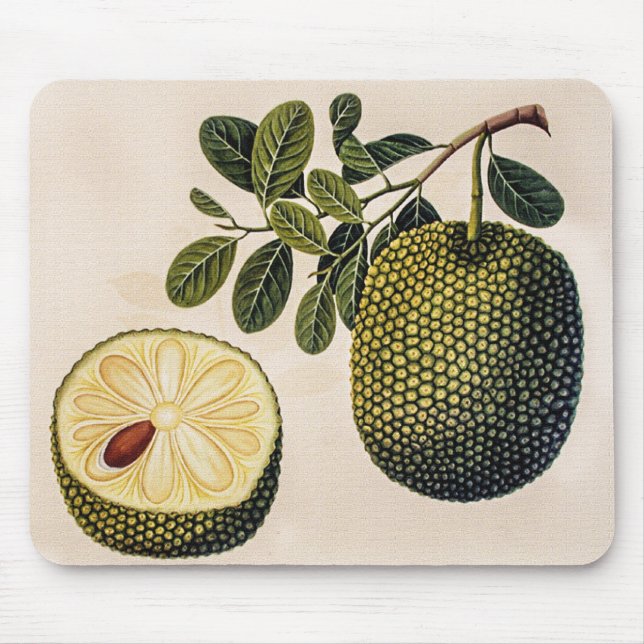 Durian Fruit and Foliage  Mouse Pad (Front)