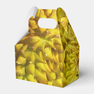 Durian Fruit Favor Box