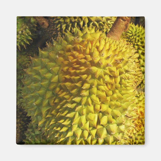 Durian Fruit Magnet (Front)
