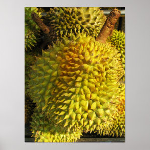 Durian Fruit Poster