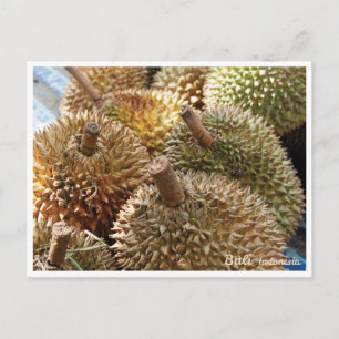 Durian in Bali Indonesia - Postcard
