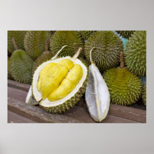 Durian King of Fruits in Singapore City Poster