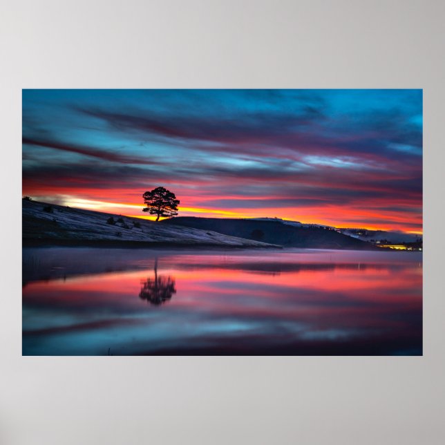 During Golden Hour, A Tree Reflects On A Body Of W Poster (Front)