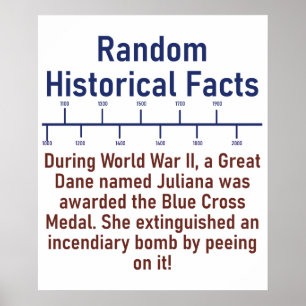 During WWII A Great Dane - History Fact Poster