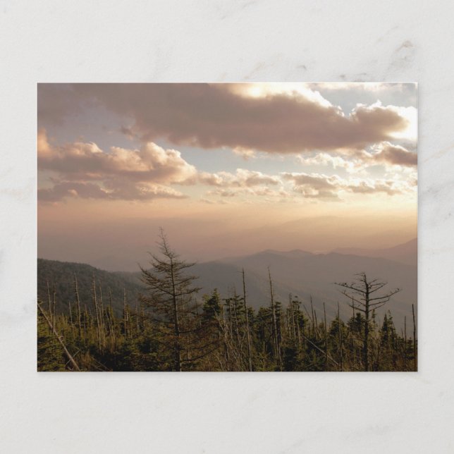 Dusk at Clingman's Dome Postcard (Front)