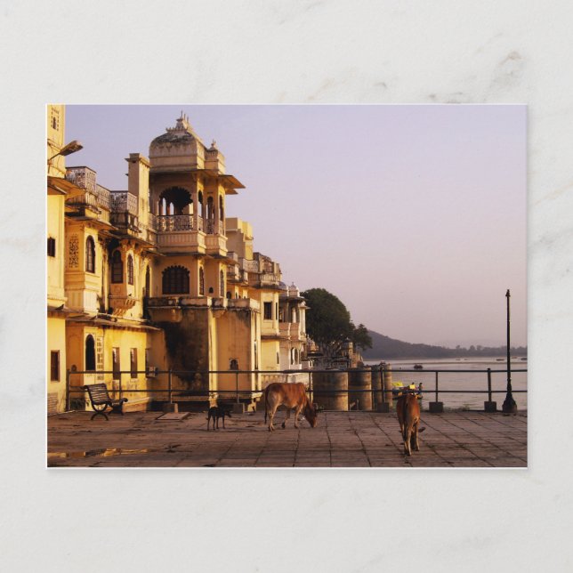 Dusk at Ganghaur Ghat, Udaipur, Rajasthan, India Postcard (Front)