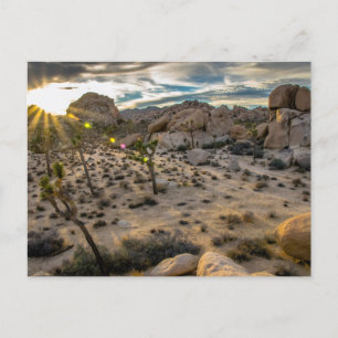 Dusk at Joshua Tree NP Postcard