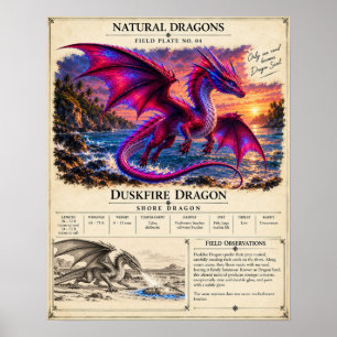 Duskfire Field Plate Poster