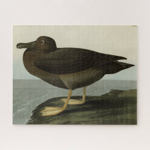Dusky Albatross from Audubon's Birds of America Jigsaw Puzzle