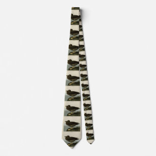 Dusky Albatross from Audubon's Birds of America Tie