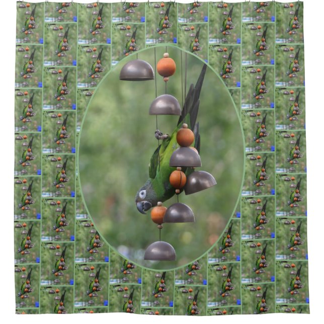 Dusky Conure Parrot Upside Down Bird  (Front)