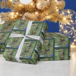 Dusky Conure Parrot Upside Down Bird Wrapping Paper
