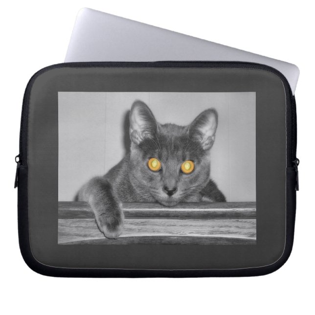 Dusky Gold Laptop Sleeve (Front)