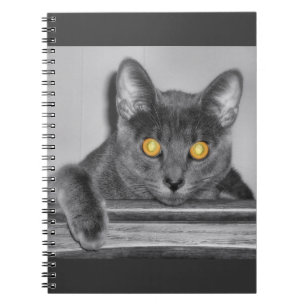 Dusky Gold Notebook