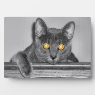 Dusky Gold Photo Plaque