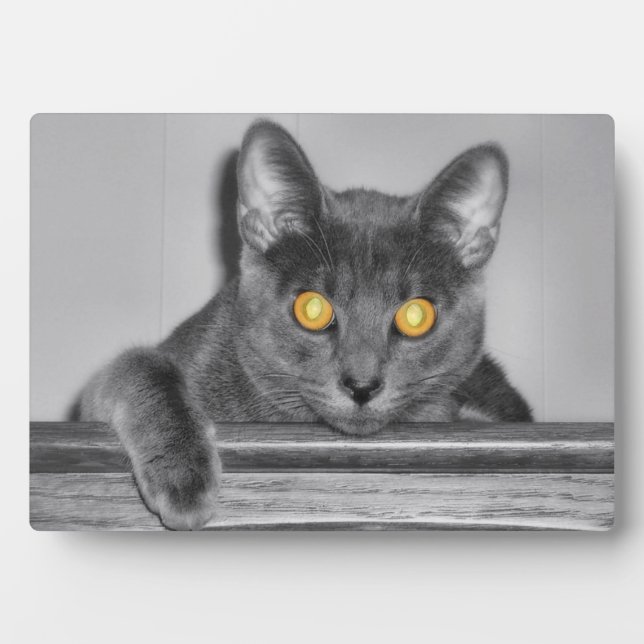 Dusky Gold Photo Plaque (Front)