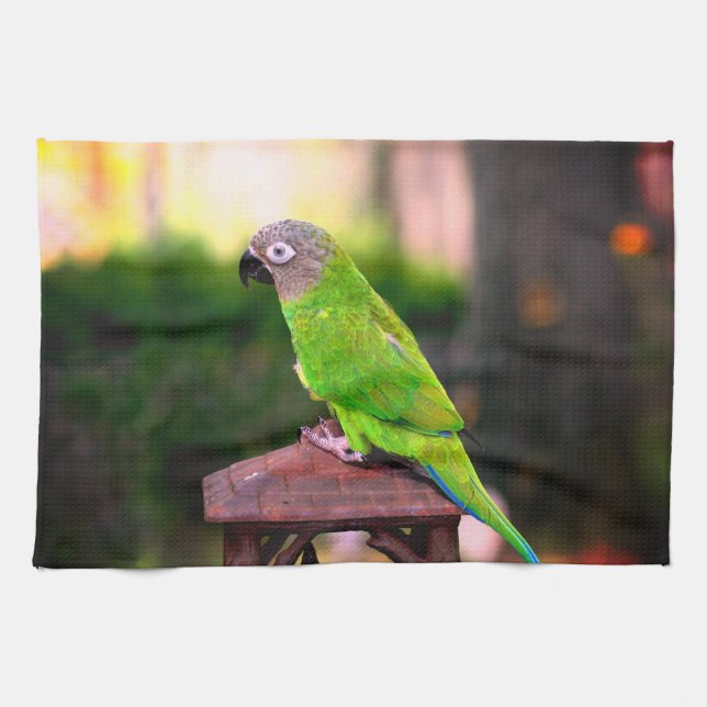 Dusky Headed Conure Parrot   Kitchen Towel (Horizontal)