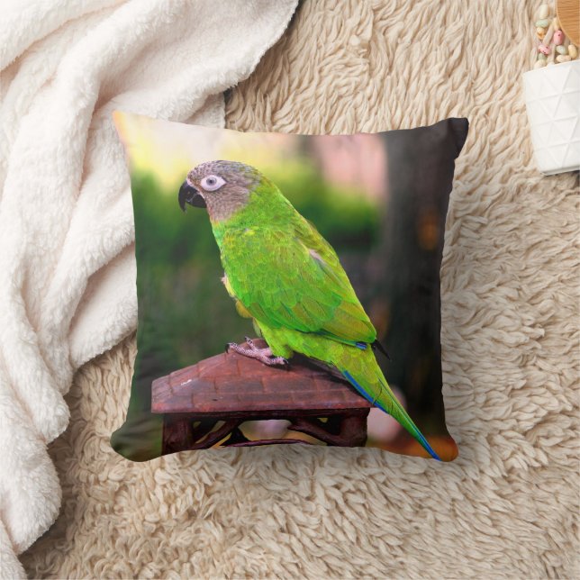 Dusky Headed Conure Parrot   Throw Pillow (Blanket)