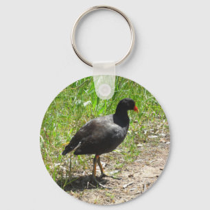 Dusky Moorhen Keychain