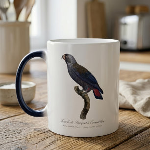 Dusky Parrot or Dusky Pionus, Pionus fuscus Magic Mug