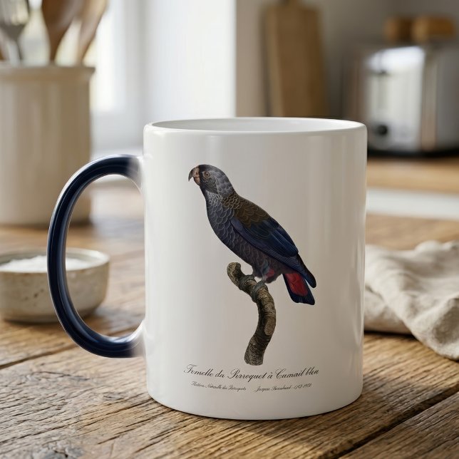 Dusky Parrot or Dusky Pionus, Pionus fuscus Magic Mug (Dusky Parrot or Dusky Pionus, Pionus fuscus. Color Morph Mug )