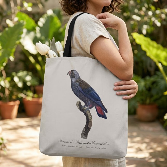 Dusky Parrot or Dusky Pionus, Pionus fuscus Tote Bag (Dusky Parrot or Dusky Pionus, Pionus fuscus. Tote Bag)