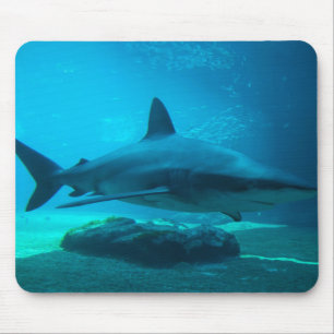 Dusky Shark (Carcharhinus Obscurus), Ushaka Mouse Pad