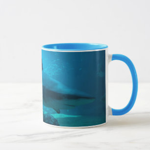 Dusky Shark (Carcharhinus Obscurus), Ushaka Mug