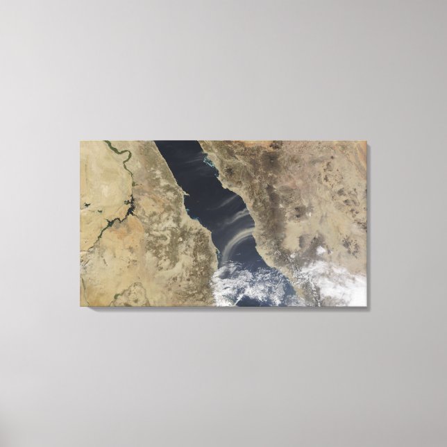 Dust plumes blow off the coast of Saudi Arabia Canvas Print (Front)