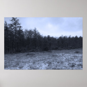 Dusting of Snow at the Bog Poster