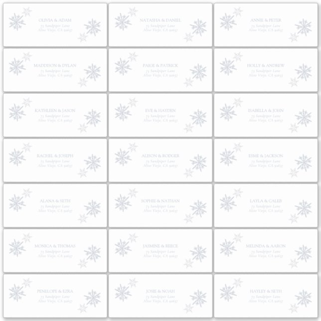 Dusty Blue Snowflake Winter Modern Guest Address (Front)