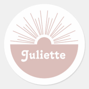 Dusty Blush Classic Round Sticker