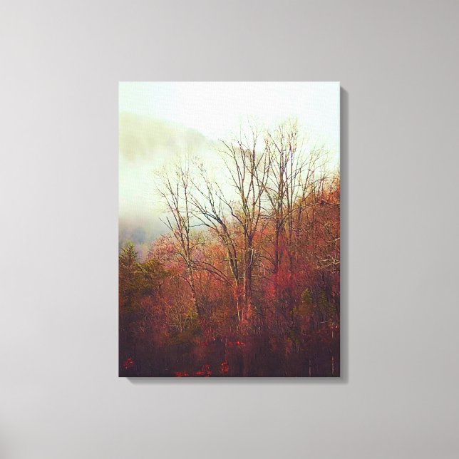 Dusty Foggy Day in Georgia Canvas Print (Front)