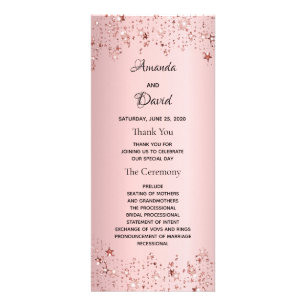 Dusty rose metallic stars pink wedding program