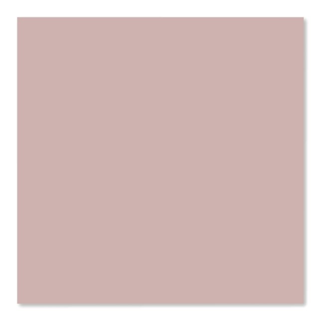 Dusty Rose Pink Solid Custom Colour Background Wallpaper (Front)