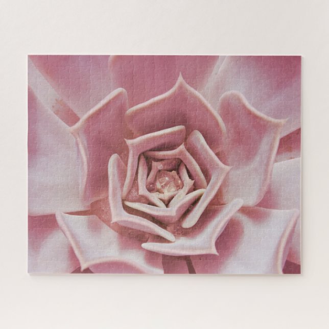 Dusty Rose Pink Succulent Plant Jigsaw Puzzle (Horizontal)