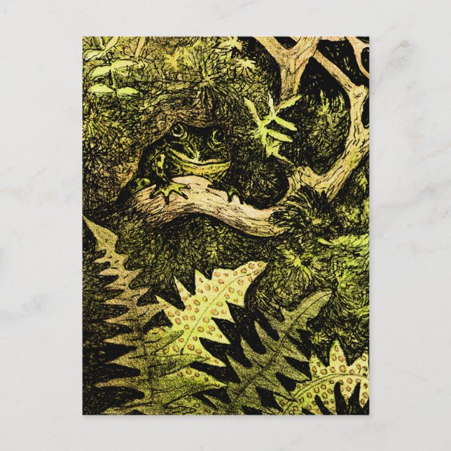 Dutch Art Nouveau Frog in Tree Postcard (Front)