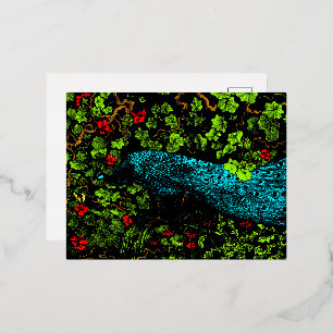 Dutch Art Nouveau Peacock and Butterfly Foil Holiday Postcard