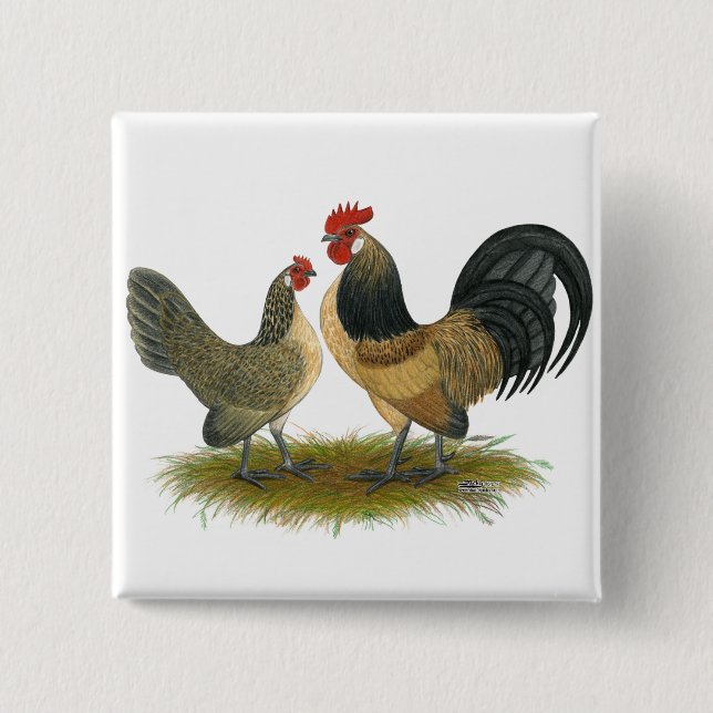 Dutch Bantam:  Blue Quail 2 Inch Square Button (Front)