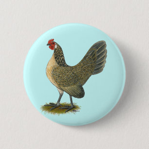 Dutch Bantam:  Blue Quail Hen 2 Inch Round Button