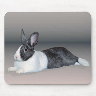 Dutch Bunny Relaxing Mouse Pad